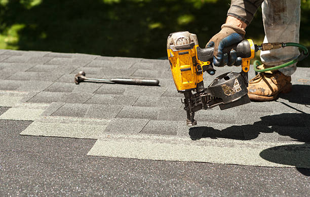 Roof Gutter Cleaning in Greenville, KY