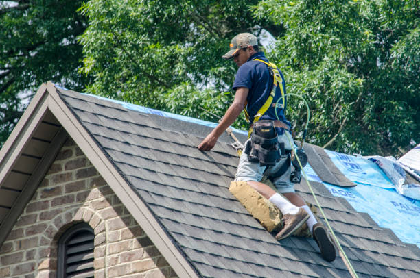 Best Roof Gutter Cleaning  in Greenville, KY